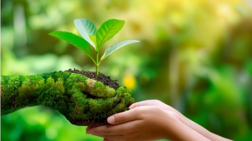 Organic खेती