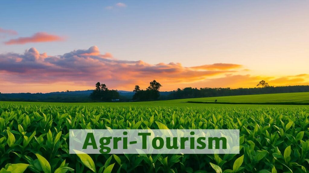 Agri Tourism.